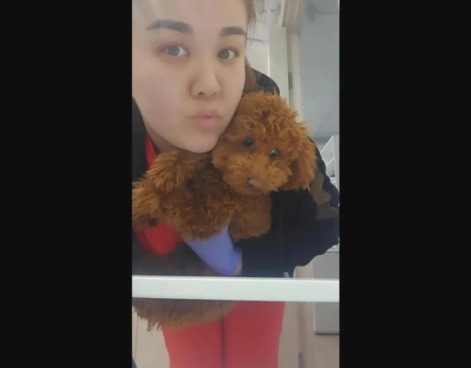 О клинике Zooстатус